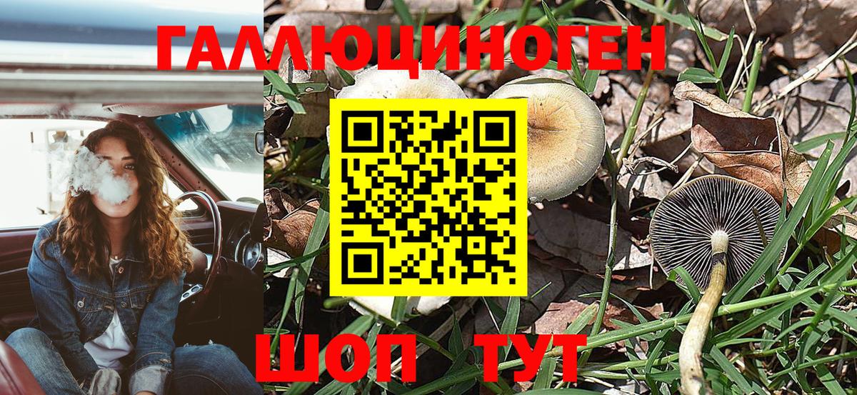 Галлюциногенные грибы мицелий Заречный