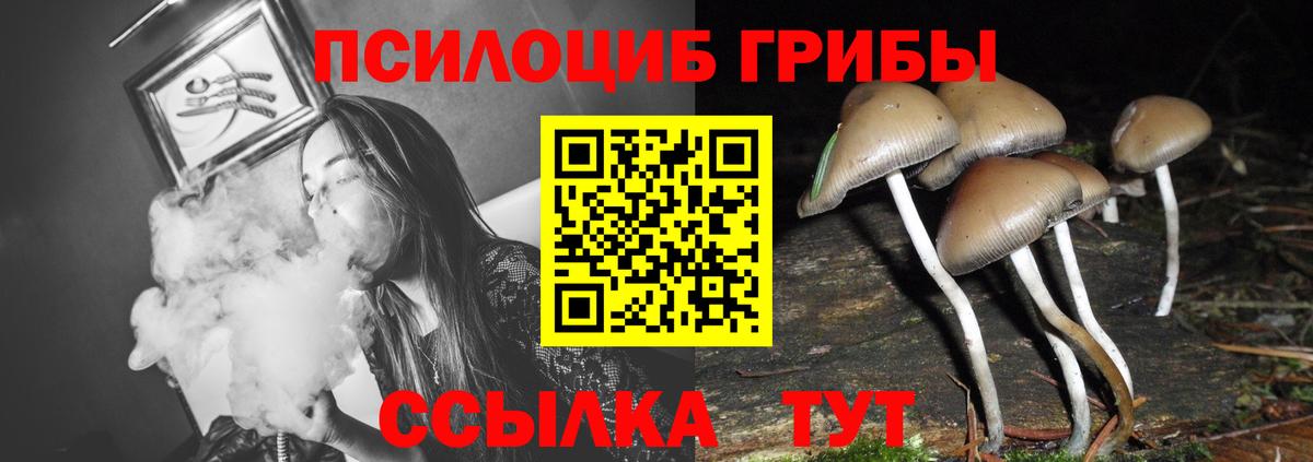 Заречный  Псилоцибиновые грибы мухоморы  Галлюциногенные грибы MAGIC MUSHROOMS  Вход с VPN 